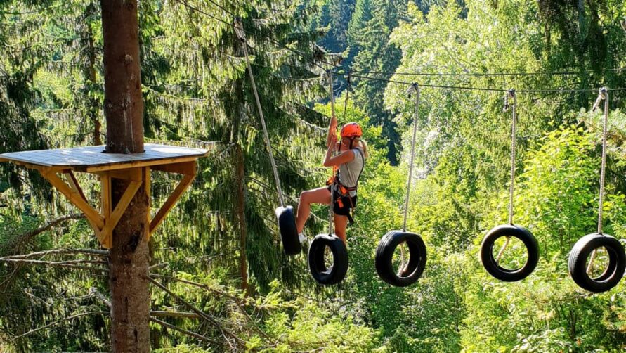 Dalsland activities